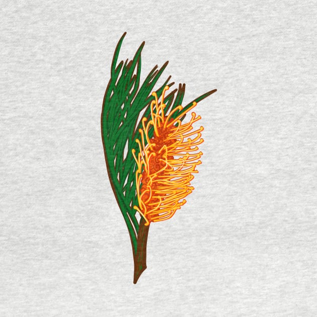 Bright Australian Native Flower - Beautiful Banksia Illustration by annaleebeer